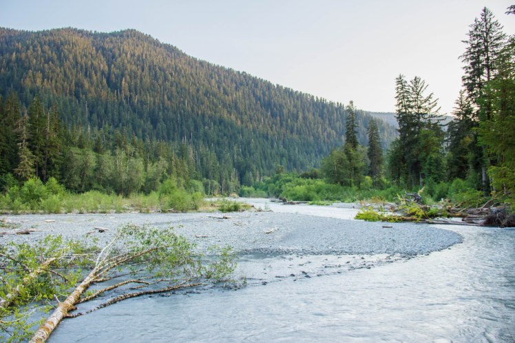 Beauty around every corner