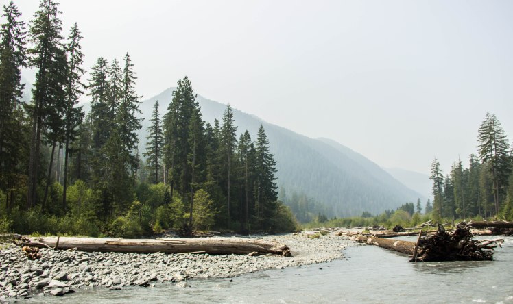 We stopped for lunch by the river to soak our tired feet and refuel