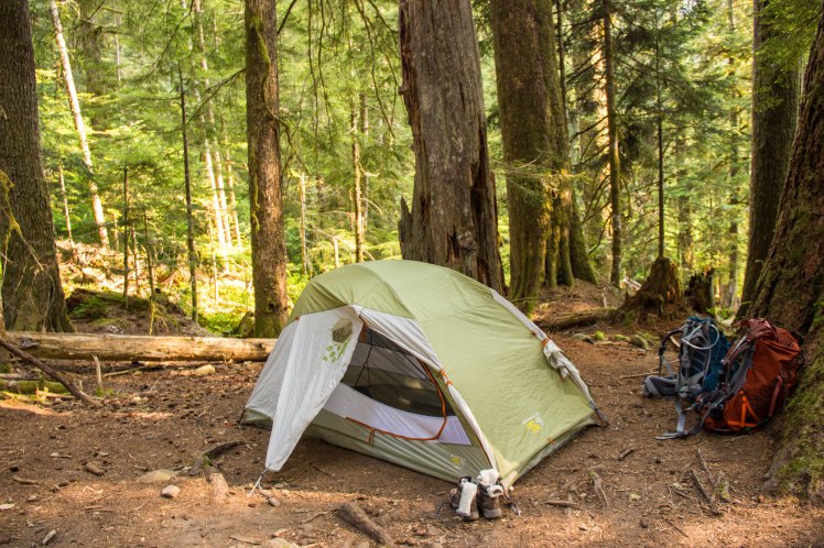 Our campsite at Elk Lake - loved this site.