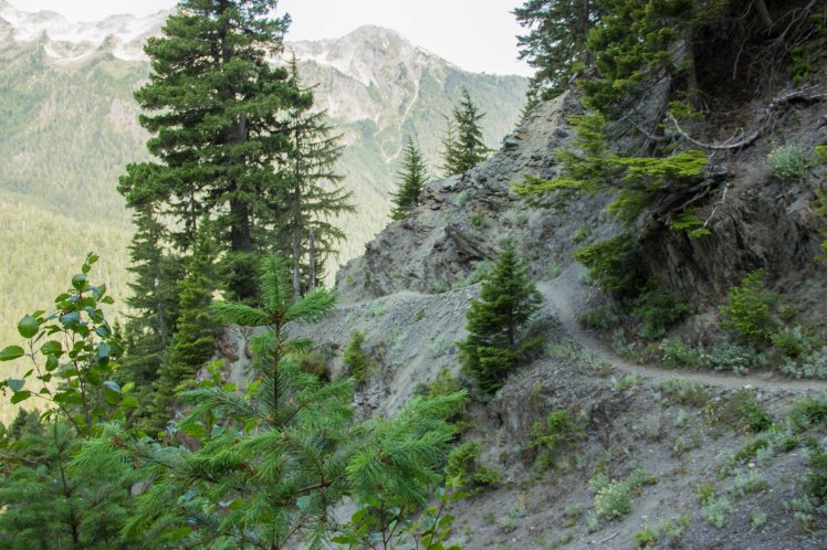 Narrow path right before the ladder