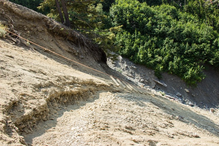 That moment I debated turning around..