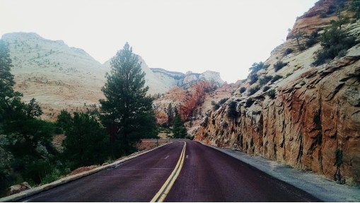 The drive in was breathtaking!