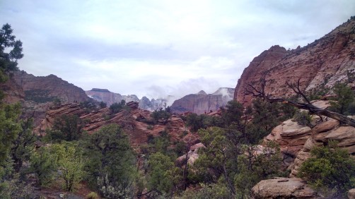 IMG_20150826_112403174_HDR