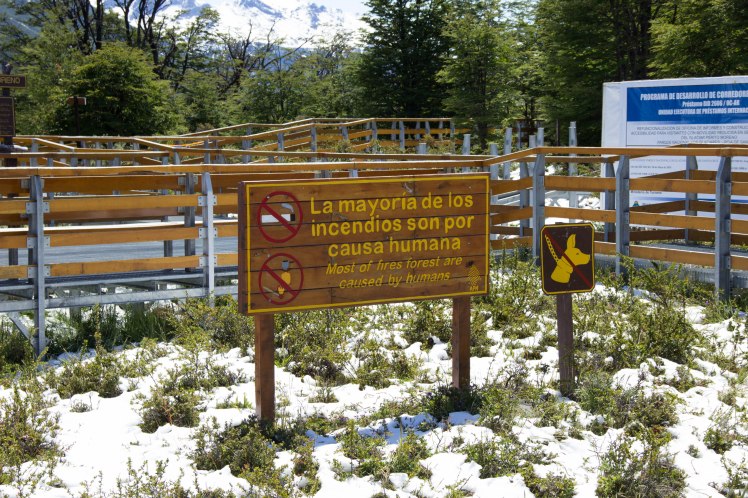 Love the signs down here