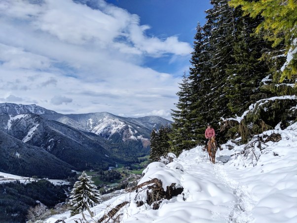 IMG_20190429_134813_283