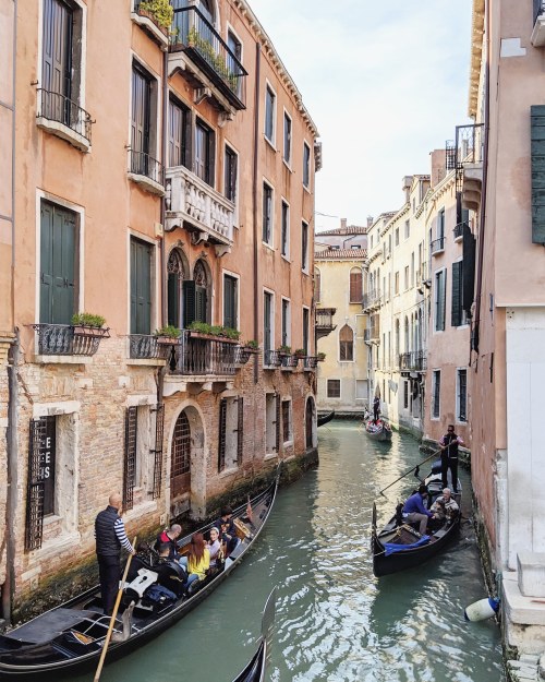 IMG_20190503_112533_471